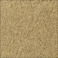 Textured Carpet Carpet Page